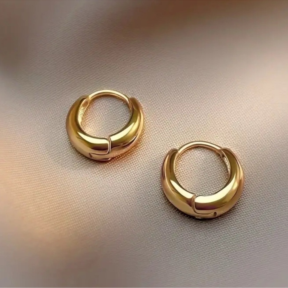 Elegant Gold Hoop Earrings